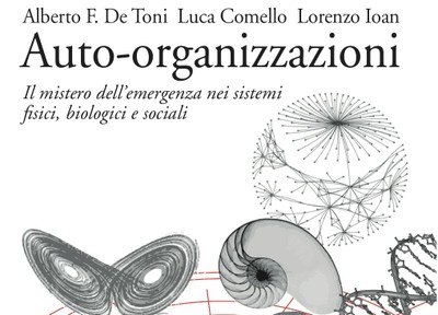 Semplicità e complessità nelle auto-organizzazioni