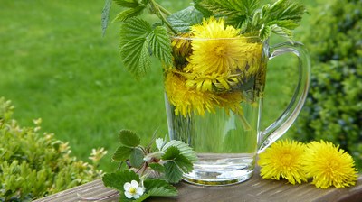 Tisane a freddo, ecco come combattere il caldo e stare in forma