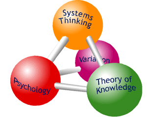 SYSTEM THINKING - IL PUNTO CRITICO DELLA VISIONE SISTEMICA: la discesa dall’elicottero!