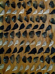b12
