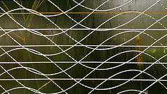 b30