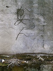 b9
