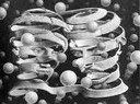 escher complementarita
