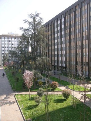 property management Figura 6 - Cortile centrale Bassi del Business Park..jpg