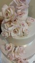 torta_fiori.jpg