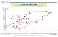 ciclo del nido d'ape - deflazione